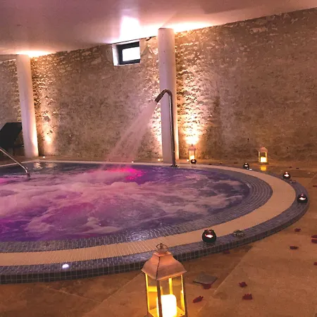 维杰城堡酒店 酒店 4*