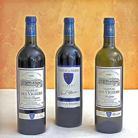 Chateau Des Vigiers מלון 4*