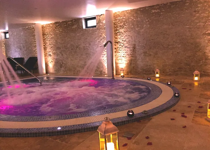 Chateau Des Vigiers Hotel 4*